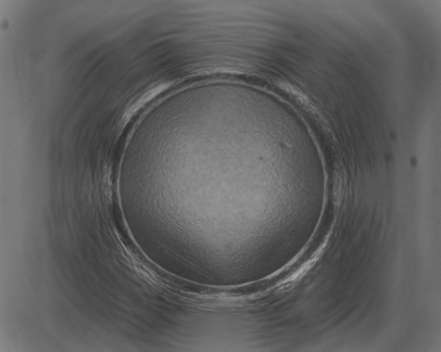 X0000082731113200702091831