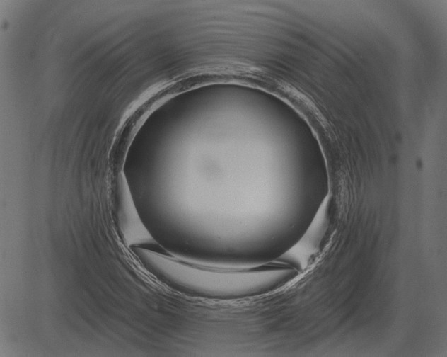 X0000082731114200702091831