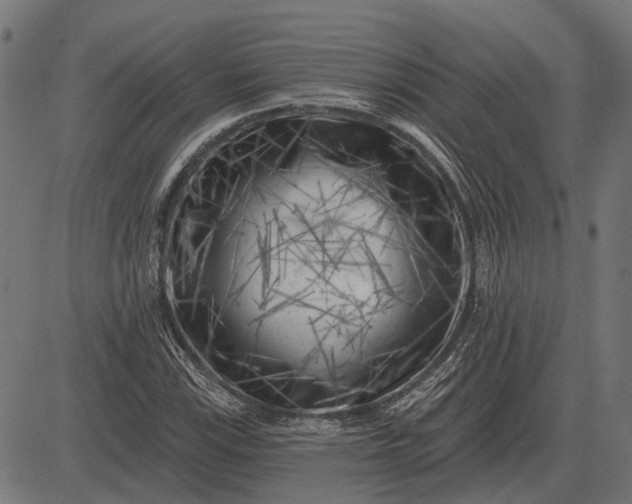 X0000082731115200702091831