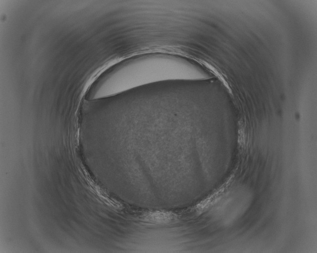 X0000082731117200702091831