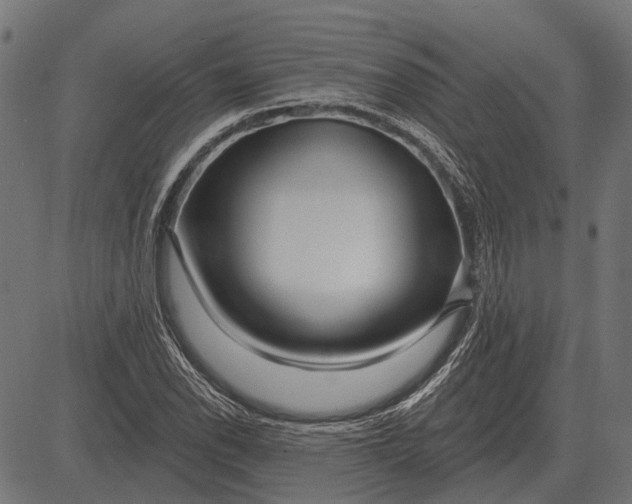 X0000082731118200702091831