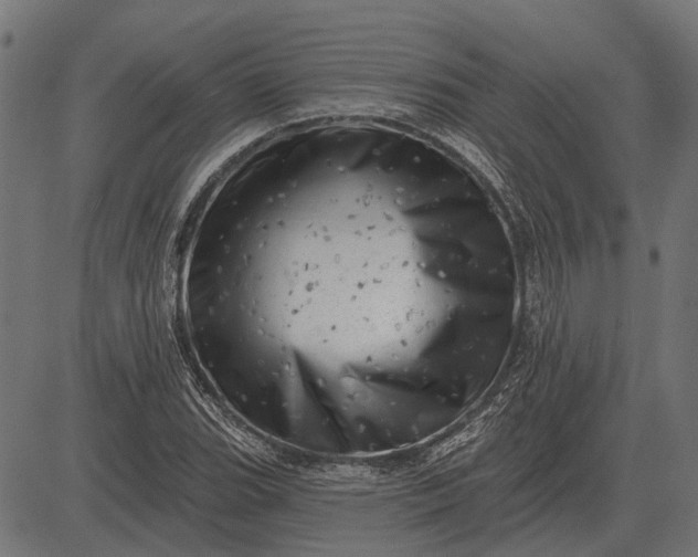 X0000082731119200702091831