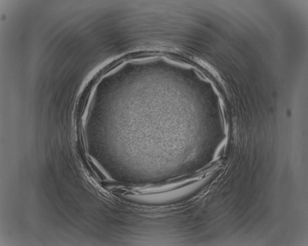 X0000082731120200702091831