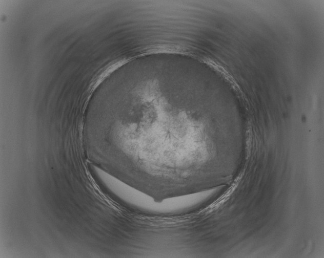 X0000082731121200702091831