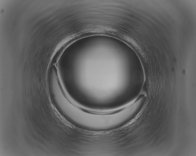 X0000082731122200702091831