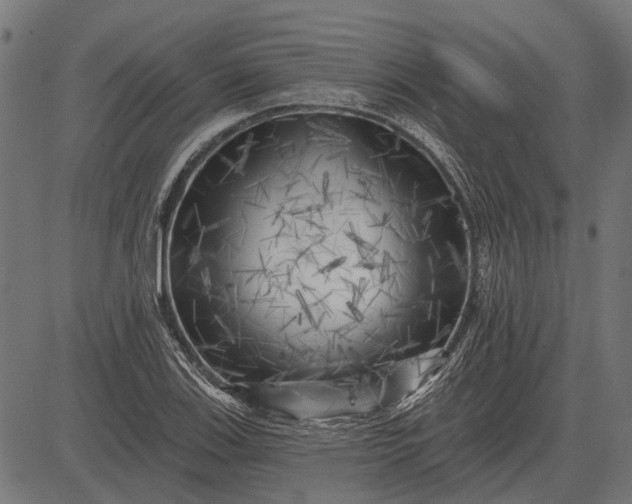 X0000082731123200702091831