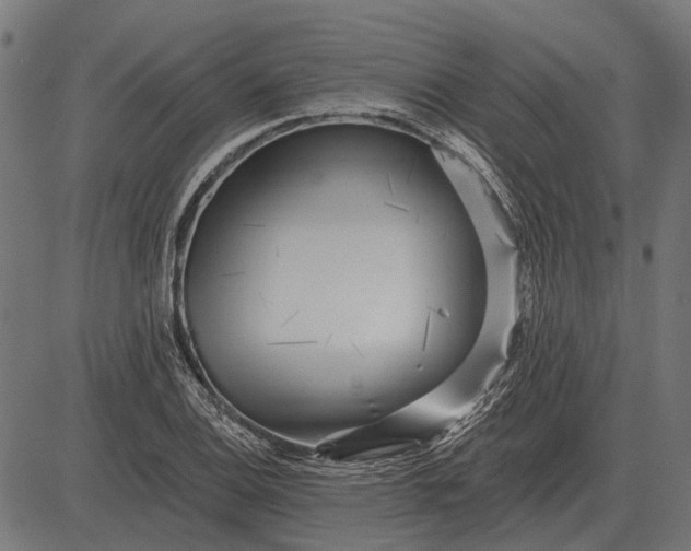 X0000082731124200702091831