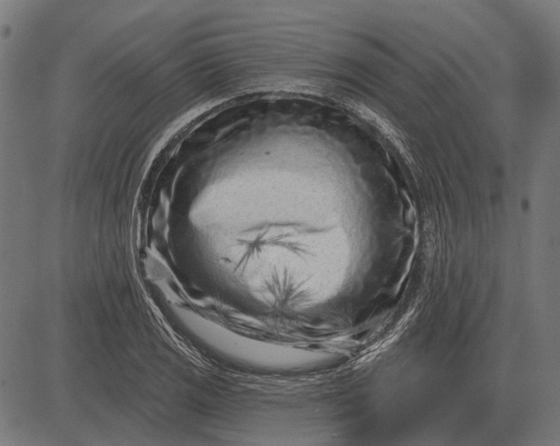 X0000082731125200702091831