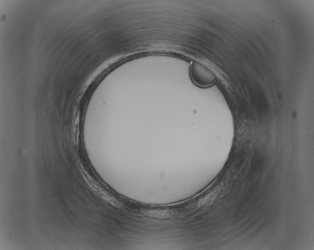 X0000082731126200702091831