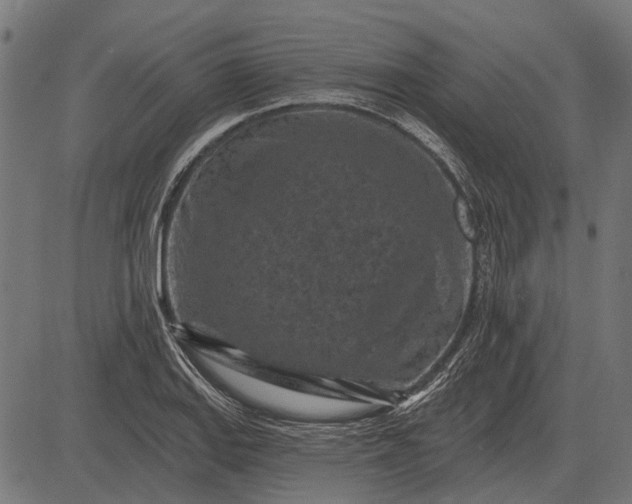 X0000082731127200702091831