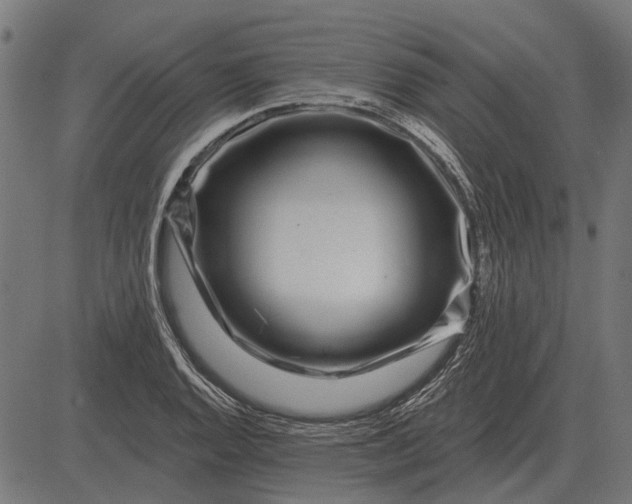 X0000082731128200702091831