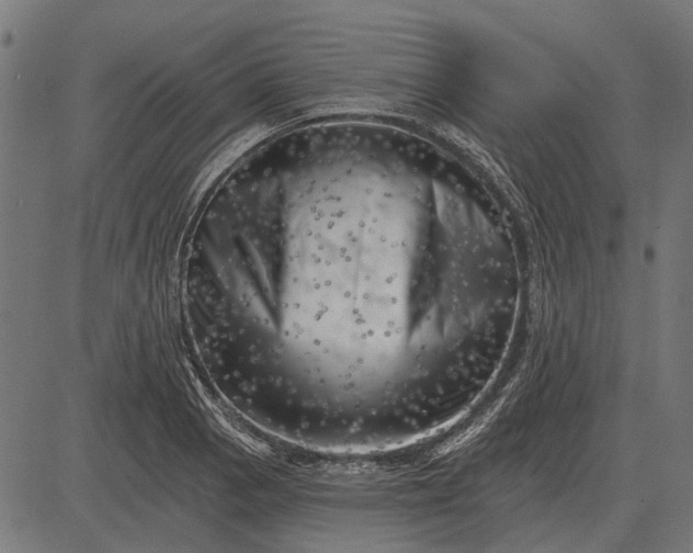 X0000082731129200702091831