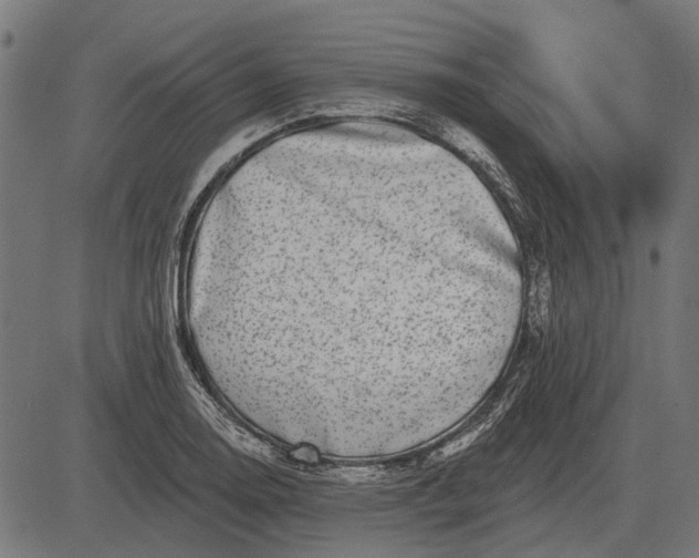 X0000082731130200702091831