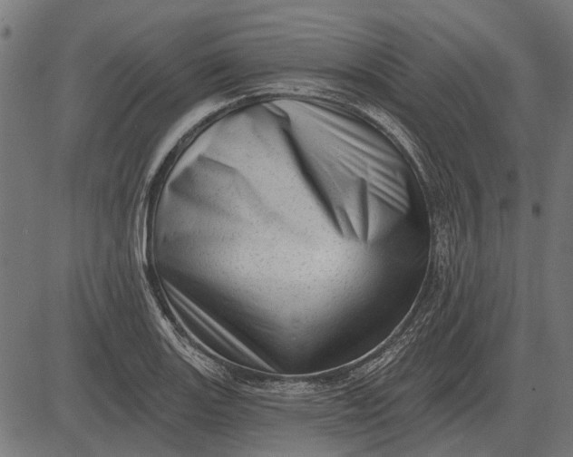 X0000082731131200702091831