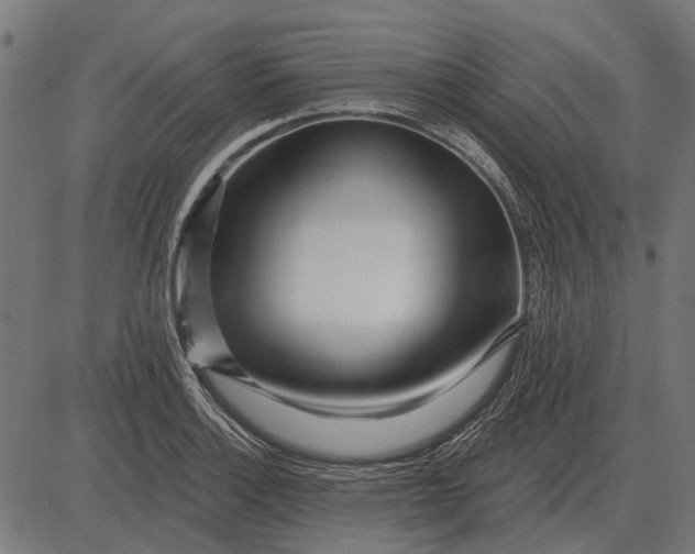 X0000082731132200702091831