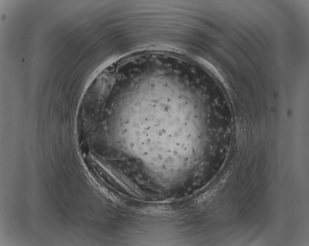 X0000082731133200702091831