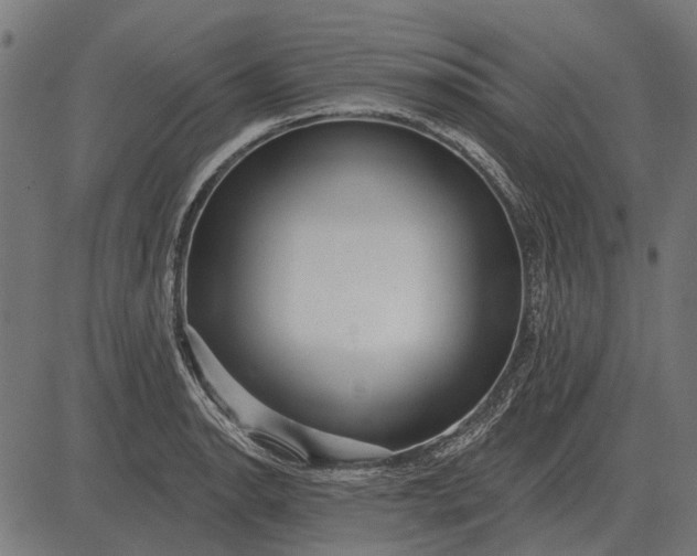 X0000082731134200702091831