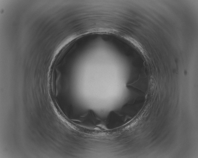 X0000082731135200702091831