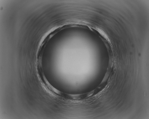 X0000082731136200702091831