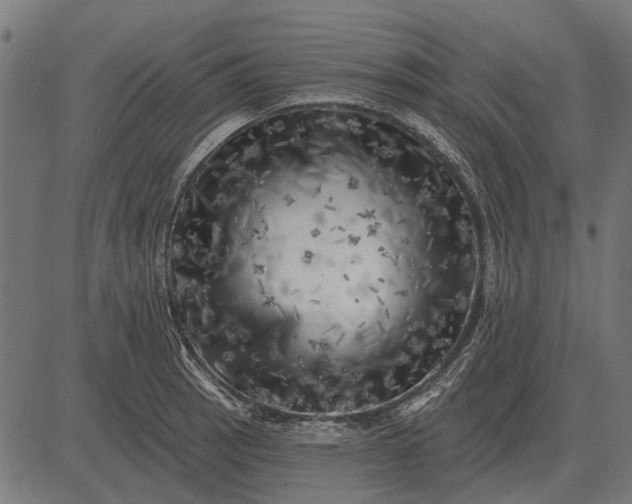 X0000082731137200702091831