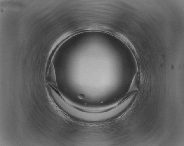 X0000082731138200702091831