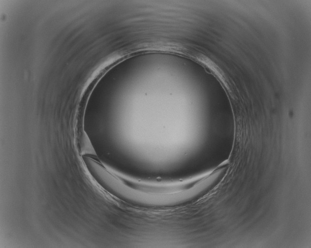 X0000082731139200702091831