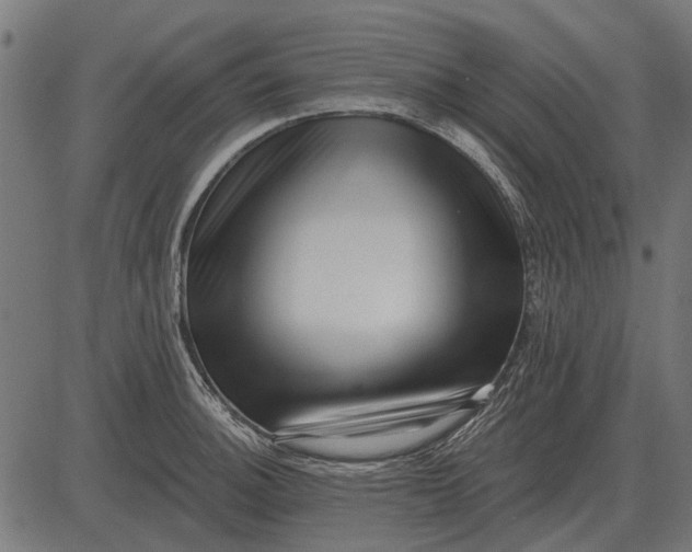 X0000082731140200702091831