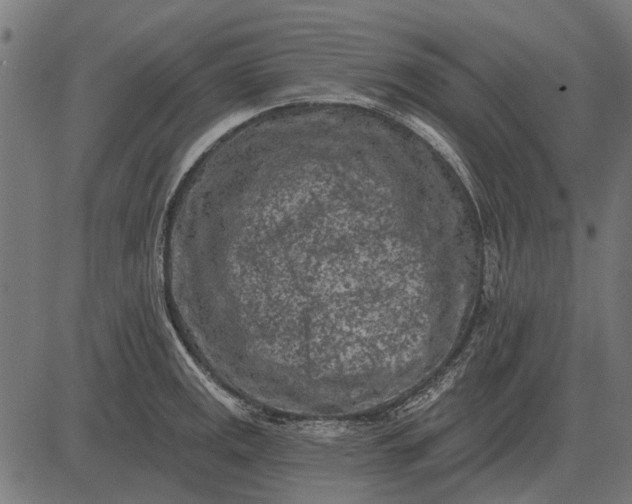 X0000082731141200702091831