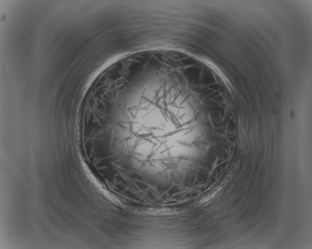 X0000082731142200702091831