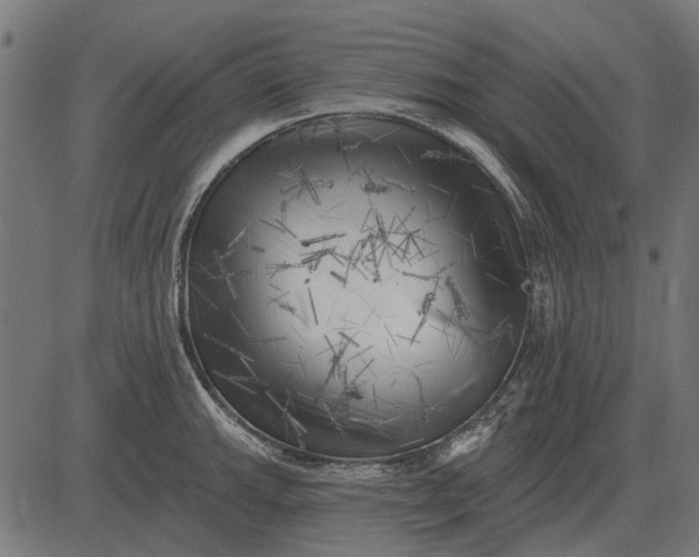 X0000082731143200702091831