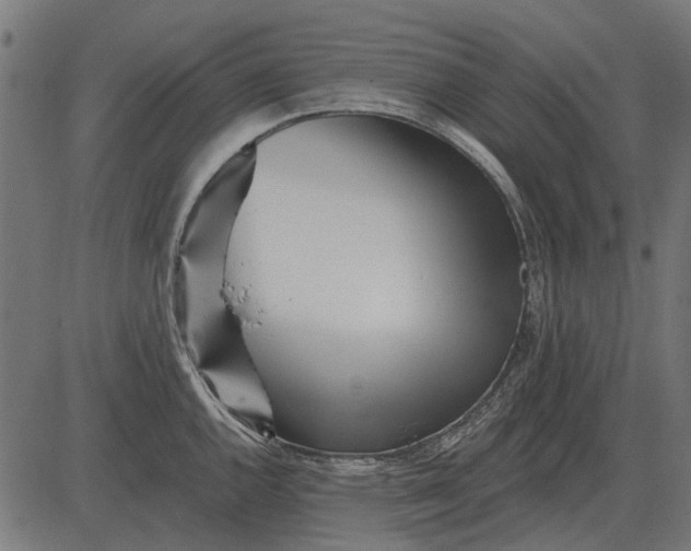 X0000082731144200702091831