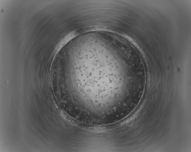 X0000082731145200702091831