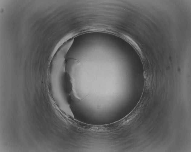 X0000082731146200702091831