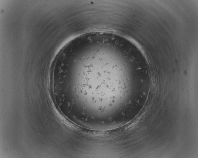 X0000082731147200702091831