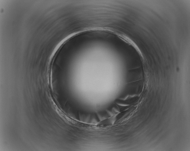 X0000082731148200702091831