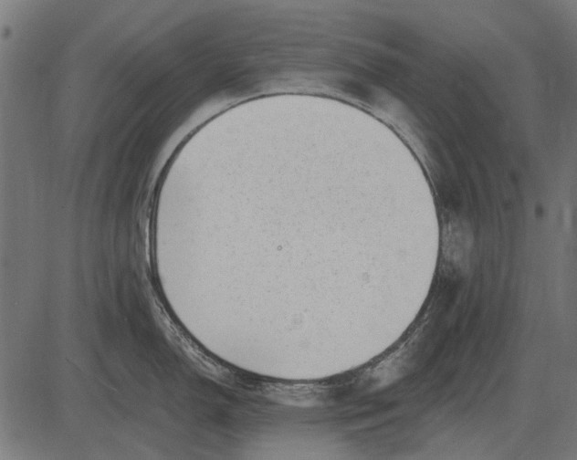 X0000082731150200702091831