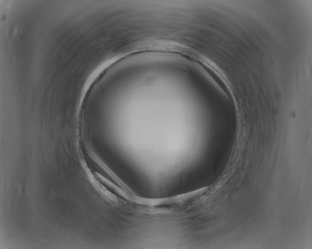 X0000082731152200702091831