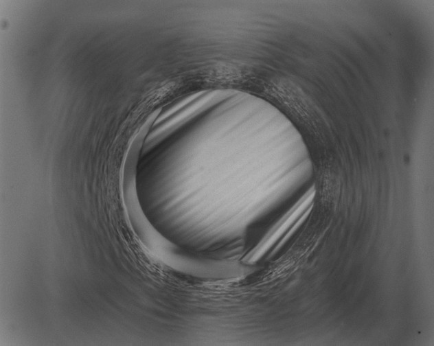 X0000082731153200702091830