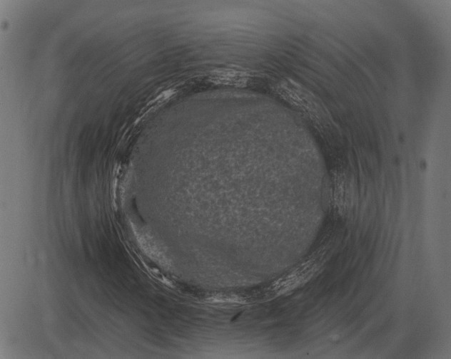 X0000082731154200702091830