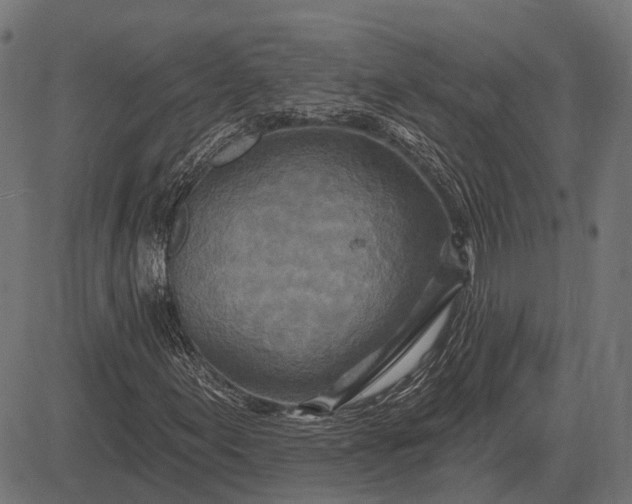 X0000082731155200702091830