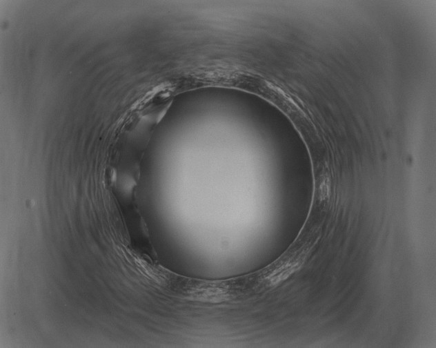 X0000082731156200702091830