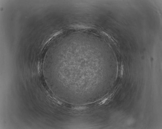 X0000082731157200702091830