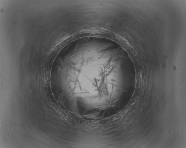 X0000082731158200702091830