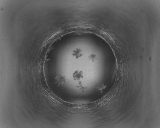 X0000082731159200702091830