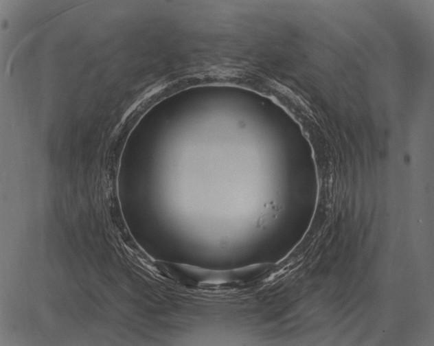 X0000082731160200702091830