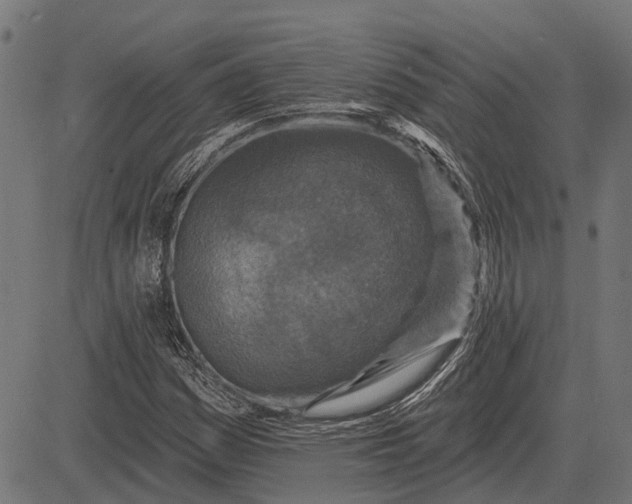 X0000082731161200702091830