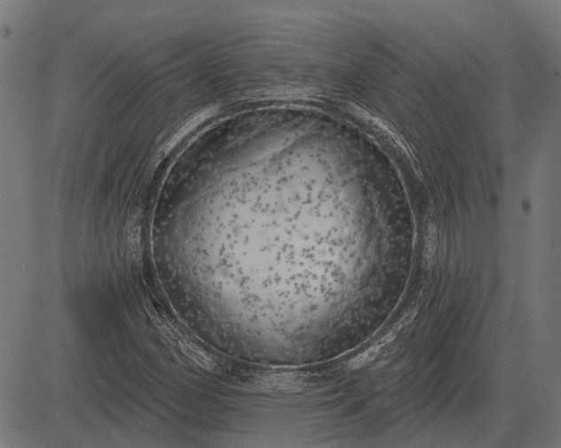 X0000082731162200702091830