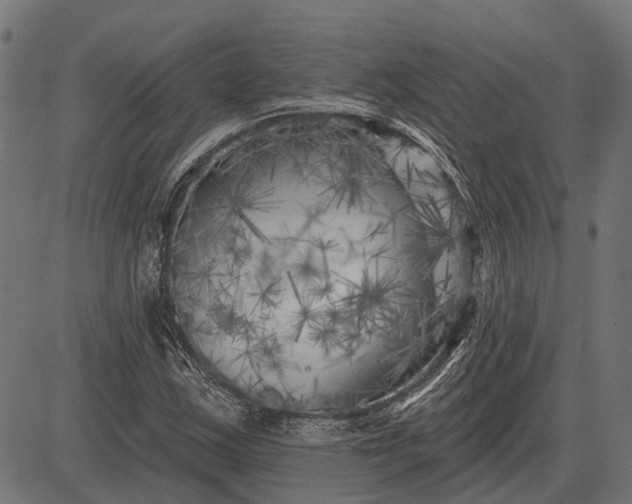 X0000082731163200702091830