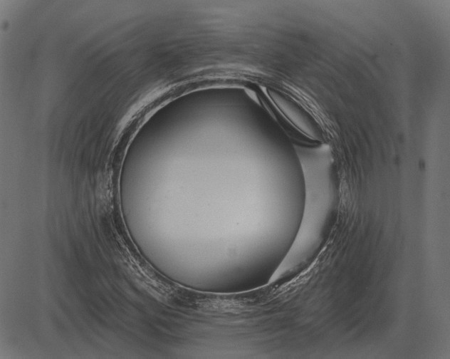 X0000082731164200702091830