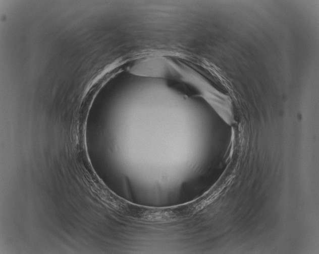 X0000082731165200702091830